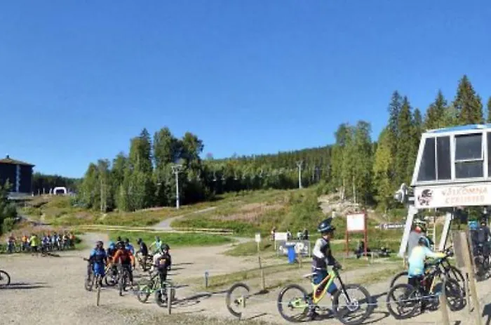 Jarvso Cabin Rentals