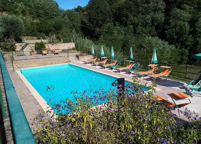 Palaia Cabin Rentals