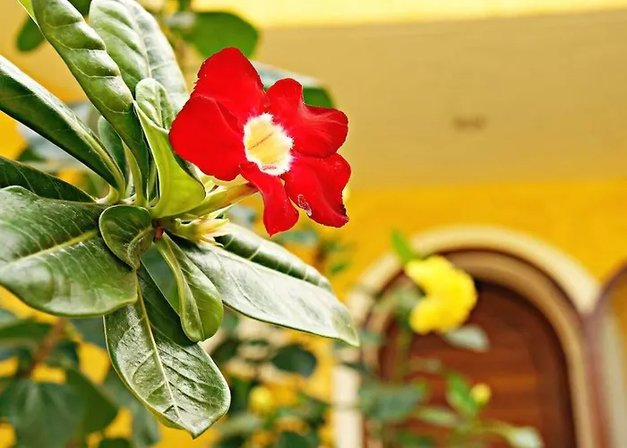 Ixtapa (Guerrero) Cabin Rentals