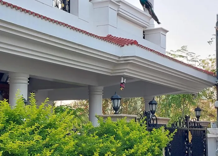 Tiruchirappalli Cabin Rentals