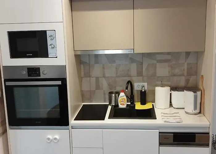 Vrnjacka Banja Cabin Rentals