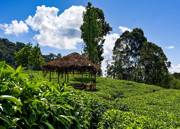 Meru Cabin Rentals