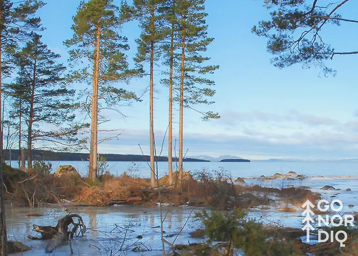 Tallberg Cabin Rentals