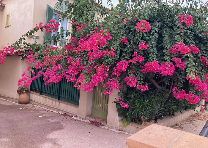 Porquerolles Cabin Rentals