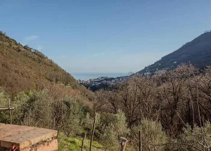 Scala Cabin Rentals