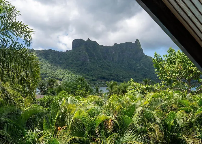 Paopao Cabin Rentals