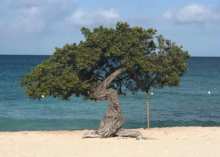 Oranjestad Cabin Rentals