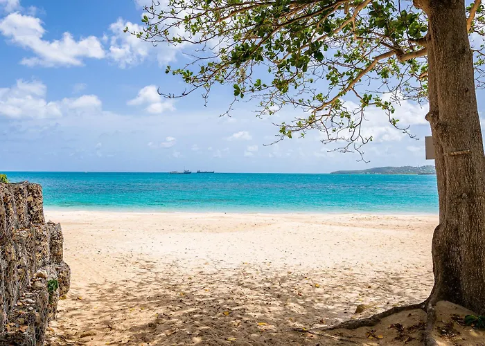 St. John's Cabin Rentals