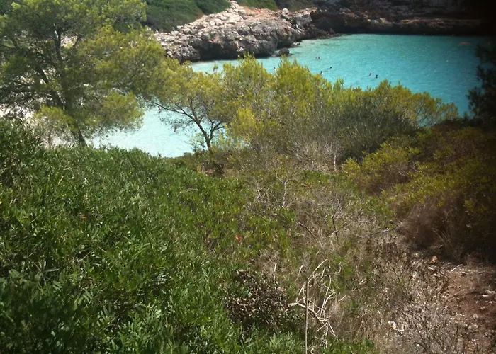 Porto Cristo Cabin Rentals
